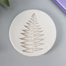 Mold Silicon 