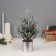 Artificial Christmas tree “Winter magic. Snowy "in the bucket 30x7.5 cm