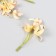 Flowers for decorating "Lilenik" vanilla 8.5 cm