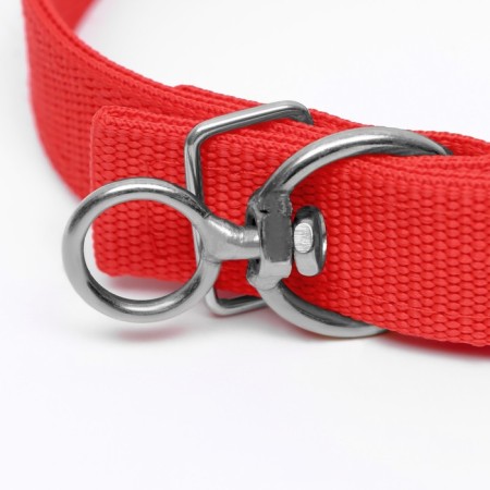 Two -layer collar with a swivel 58 x 3 cm, polyester, red-3
