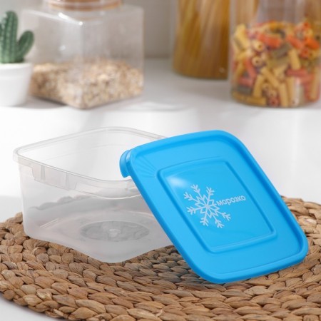 A set of square containers for freezing Morozko products, 1 l, color mix-1