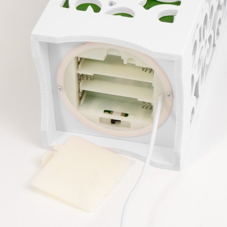 Nightlight "Flowers" LED from batteries 3haa usb green 10x10x23cm Risalux-4