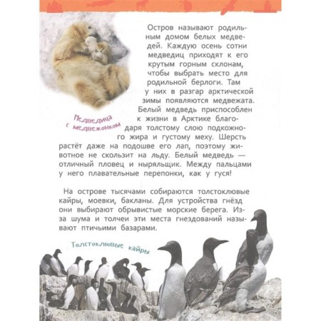 Encyclopedia for kindergarten "Miracles of Russia"-5