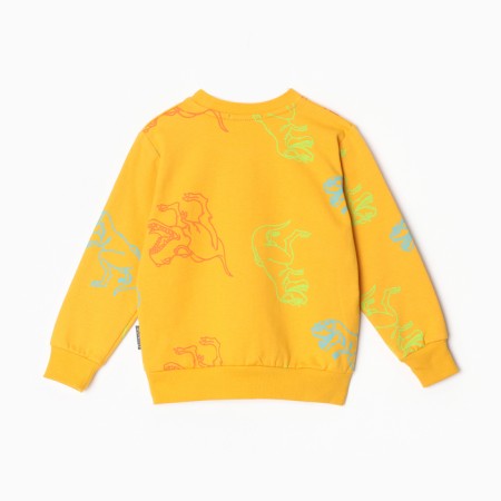 Sweatshirt for a boy, dark yellow/dino color, height 110 cm-4