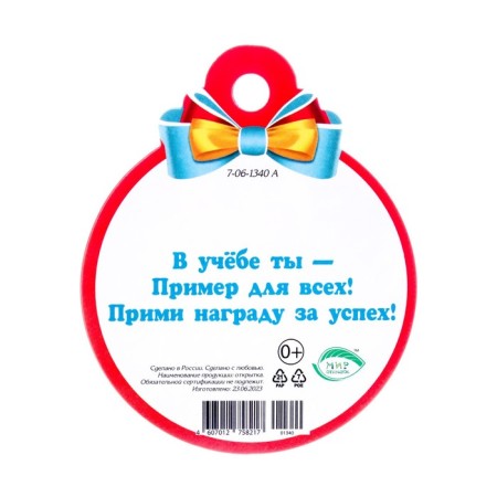 Medal "Example for everyone!" star, 10x10 cm-1