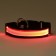 Collar with flash light 3 light modes, size XL, Osh 52-60 x 2.5 cm, red