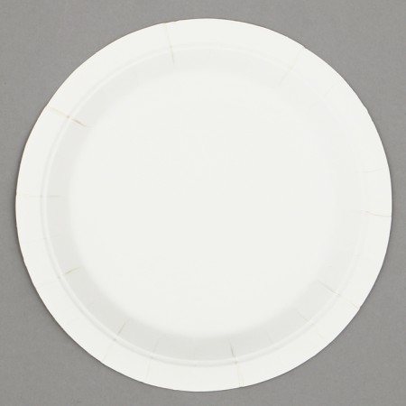 Paper plates "Light Easter", 6 pcs-2