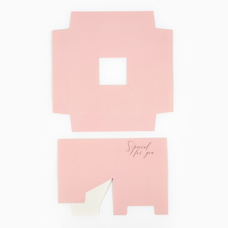 Box Gift folding carrion for colors, packaging, “peach”, 20 x 20 x 4 cm-6