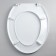 The toilet seat with the Rossplast lid "Decor. Sakura ", 46 × 36 cm, white color