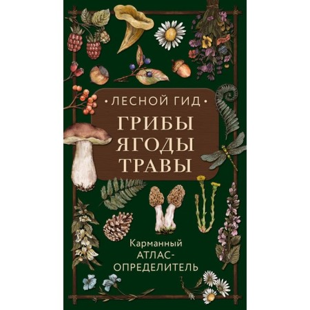 Forest guide. Mushrooms, berries, herbs. Pocket atlase disclosure. Semenova L.S.