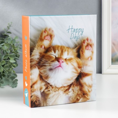 Photo album for 200 photos "Red cat" 10x15 cm