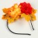 Carnival rim "Miracle of Autumn"