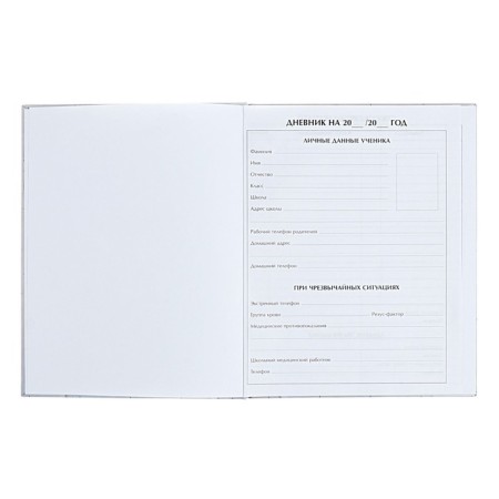 Universal diary for grades 1-11 anime. Man on the style, hard cover, glossy lamination, 40 sheets-3