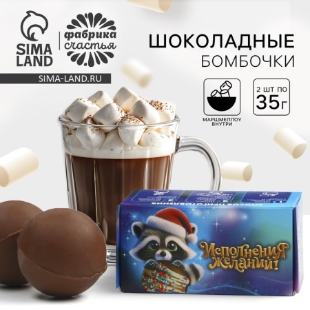 Chocolate bomb in the "Raccoon" box 2 pcs x 35 g