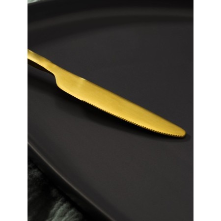 Stainless steel knife Magistro “Osska Standard”, length 21.3 cm, gold color-3