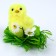 Soft toy "Tick", 7 cm, color mix