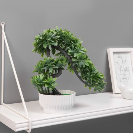 Bonsai in the pot "Ostanist tree" 10x22 cm, mix-2