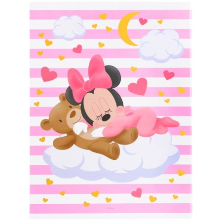 Folder for birth certificate, 1 file 21x30 cm, Minnie Mouse-4