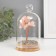Souvenir "Cash tree in a flask with a pen" Pink 36 stones 8.2x8.2x13 cm