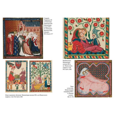 Life in a medieval castle. GIS J., GIS F.-3