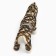 Combiason for dogs, a demi -season with a lining, size S (DS 25, OG 37cm), camouflage