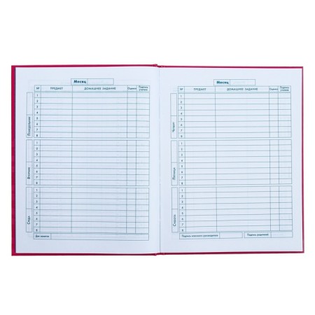 Diary for grades 1-4, 48 sheets "cat", hard cover, glossy lamination, foil embossing-8
