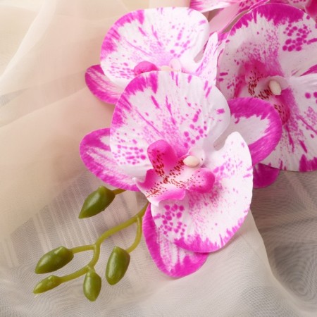 Artificial Flowers "Orchid Falalanopsis" premium, 7x55 cm, raspberry-white-1