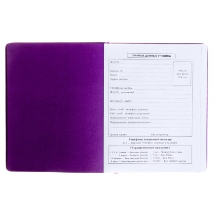 Diary, universal, for grades 1-11, “monster in headphones”, artificial leather, foam lining, 3D application, 48 sheets-2