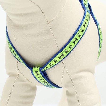 Set "Bones and Paws" reflective, leash 120 x 1.5 cm, OG 36-52 cm, blue-2