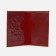 Cover for passport, red color