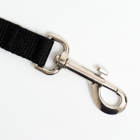 Leash 3 m x 2 cm, black-1