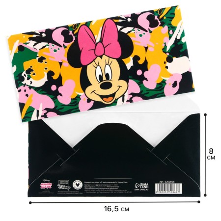 Money envelope, 16.5x8 cm "Happy Birthday!", Minnie Mouse