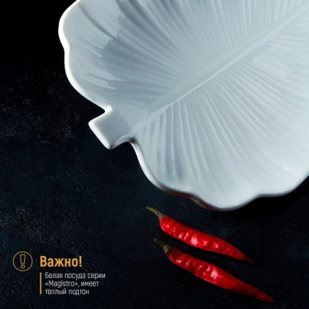 Porcelain dish Magistro "Leaf", 31 × 22 × 3.5 cm, white color-3