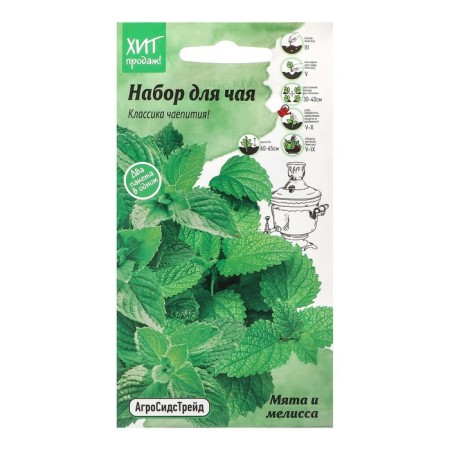 Mint seeds and lemon balm "Set for tea", 0.23 g