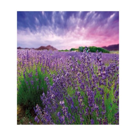 Set of napkins for setting the table "Lavender in color", rectangular, size 32x46 cm, 4 pcs-2