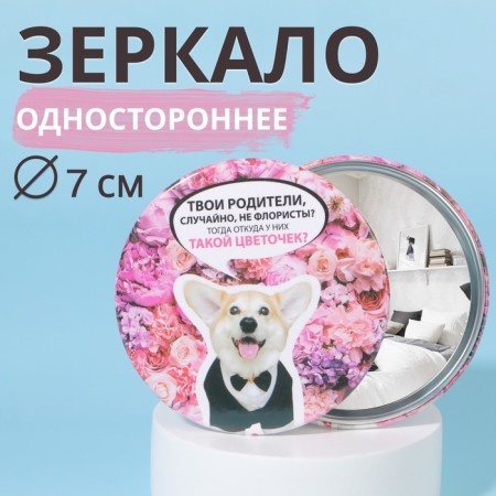 Pocket mirror "Corgi", d = 7 cm, multi -colored