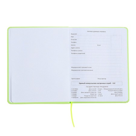 Universal diary for grade 1-11 Capybara, hard cover, artificial leather, silkography, lies, 80 g/m2-3