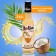Mollina Syrup, 345 g