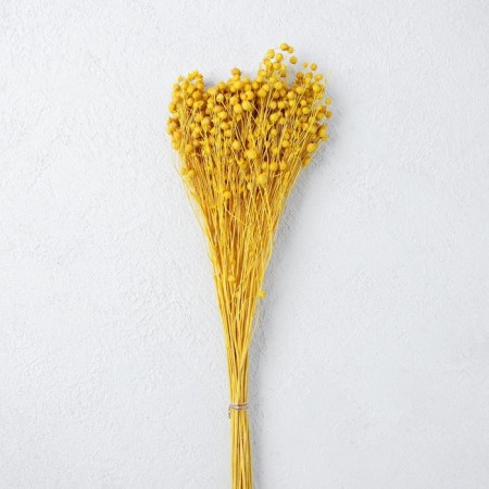 Sukhotzet "Abrus" set 24 pcs, yellow color-2