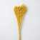 Sukhotzet "Abrus" set 24 pcs, yellow color