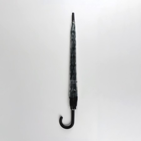 Umbrella - a semiautomatic “cage” cane, 8 spokes, r = 54 cm, the color is transparent/emerald-3