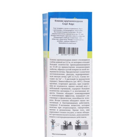 Cranberry large -fruited "House", tube, 1 pc, spring 2025-1