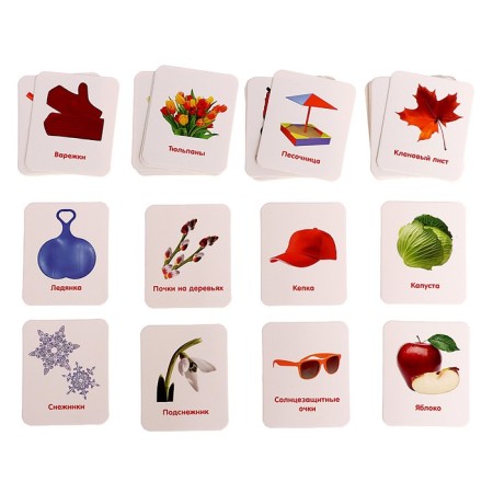 Sorter "Study the Seasons" with Doman's cards-3