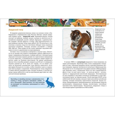 Children's Encyclopedia "Animals of Russia"-5