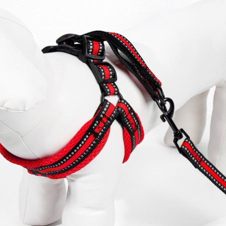 The ammunition set is soft, reflective, leash 120 x 2 cm, Osh 25-72 cm, red-3