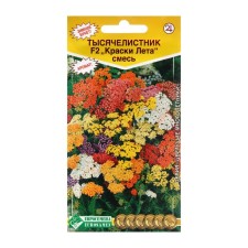 Seeds of yarrow 