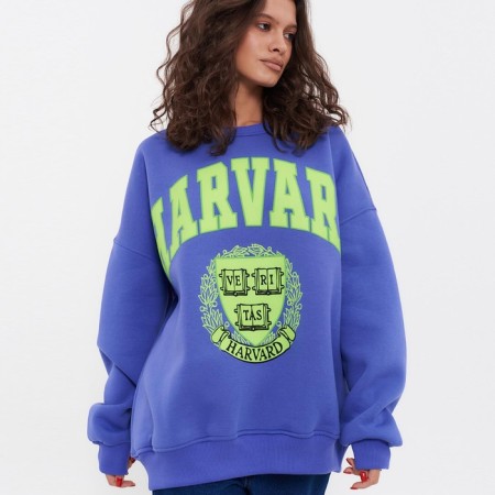 Women's sweatshirt was launched, lilac color, rr One size (42-46)-2