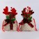 Gift bag with horns, 22 × 12 cm, species mix