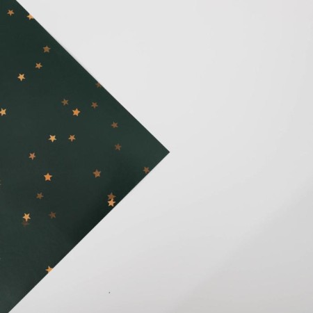 Paper Glossy “Golden Stars”, 70 x 100 cm, New Year-3