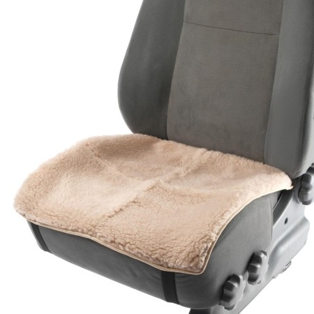 Kittail in the front seat, natural wool, short pile, beige